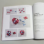Faltpolyeder, 154. Foto: DL<br>